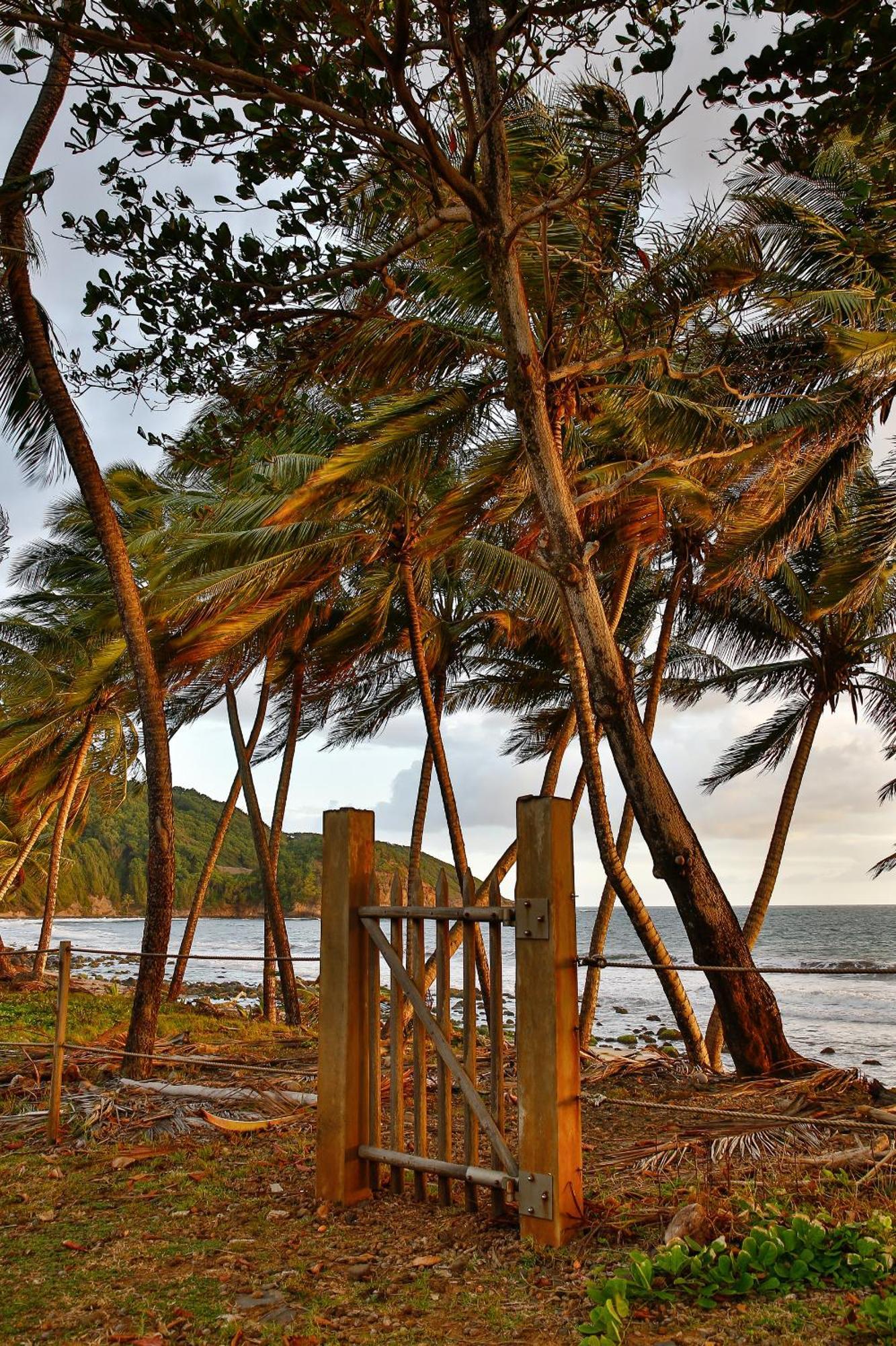 Maison D'O Baie De Saint-Jacques, Sur Une Plage Sauvage Sainte-Marie Ngoại thất bức ảnh